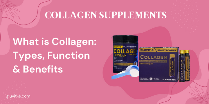 What is Collagen: Types, Function & Benefits – Gluvit-S
