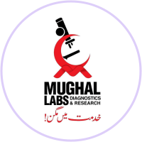 Mughal Labs